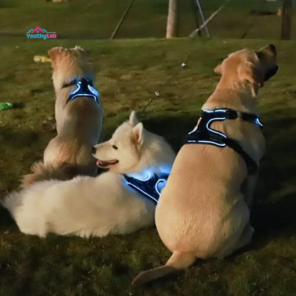 No Pull Dog Harness,  Light up Dog Harness There Are 3 Light Modes with Control Handle and Reflective Strap, Adjustable Breathable Dog Vest Suitable for Small, Medium, Large Dogs(S)