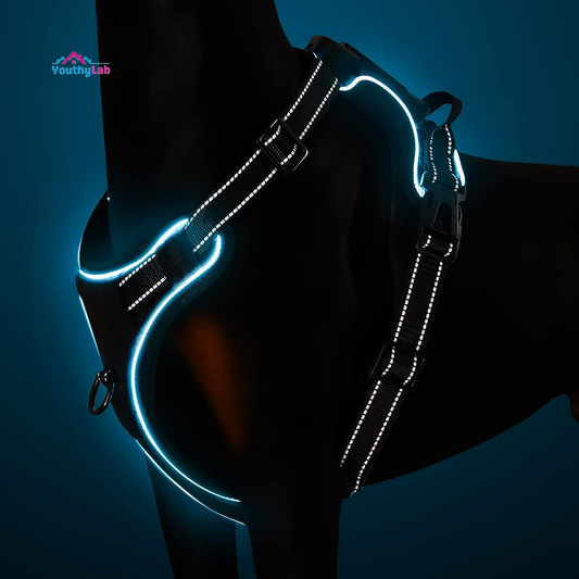 No Pull Dog Harness,  Light up Dog Harness There Are 3 Light Modes with Control Handle and Reflective Strap, Adjustable Breathable Dog Vest Suitable for Small, Medium, Large Dogs(S)